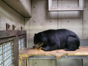 季節感のある餌を!