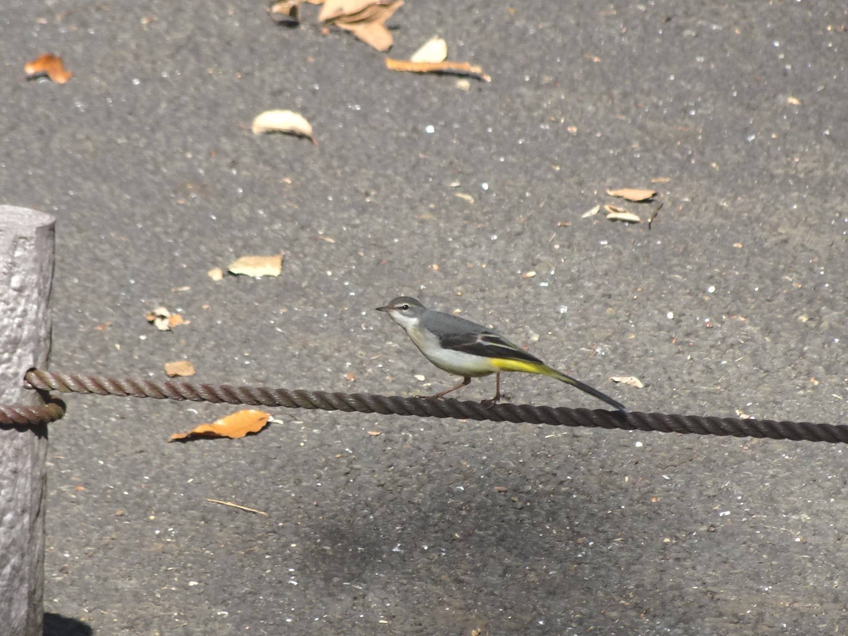 ~ 自然体験林 11月編 ~の写真