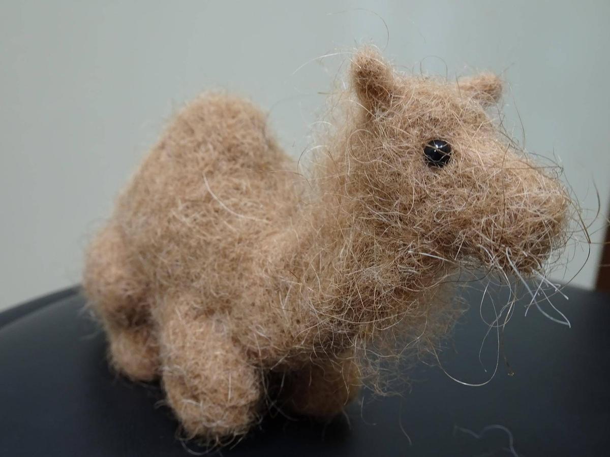 ラクダの毛の使い道が見つかりました。|アフリカのサバンナ