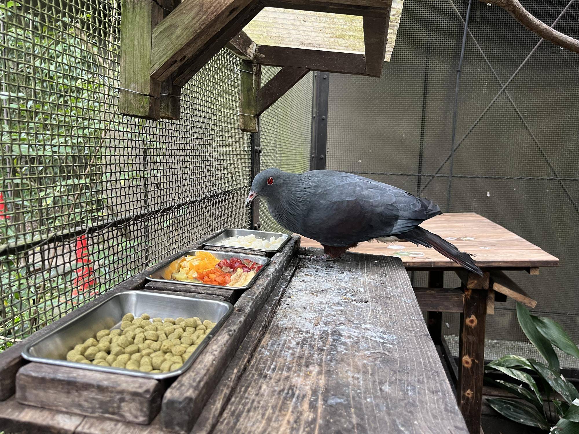食欲の秋♪の写真
