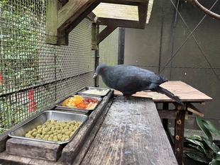 食欲の秋♪