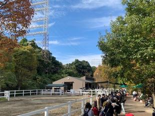 ぱかぱか広場のイベントを楽しむコツ