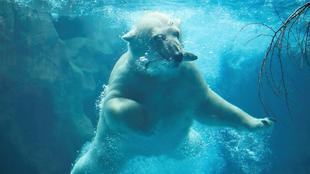 動物園の台所 9/24の質問にお答えします。