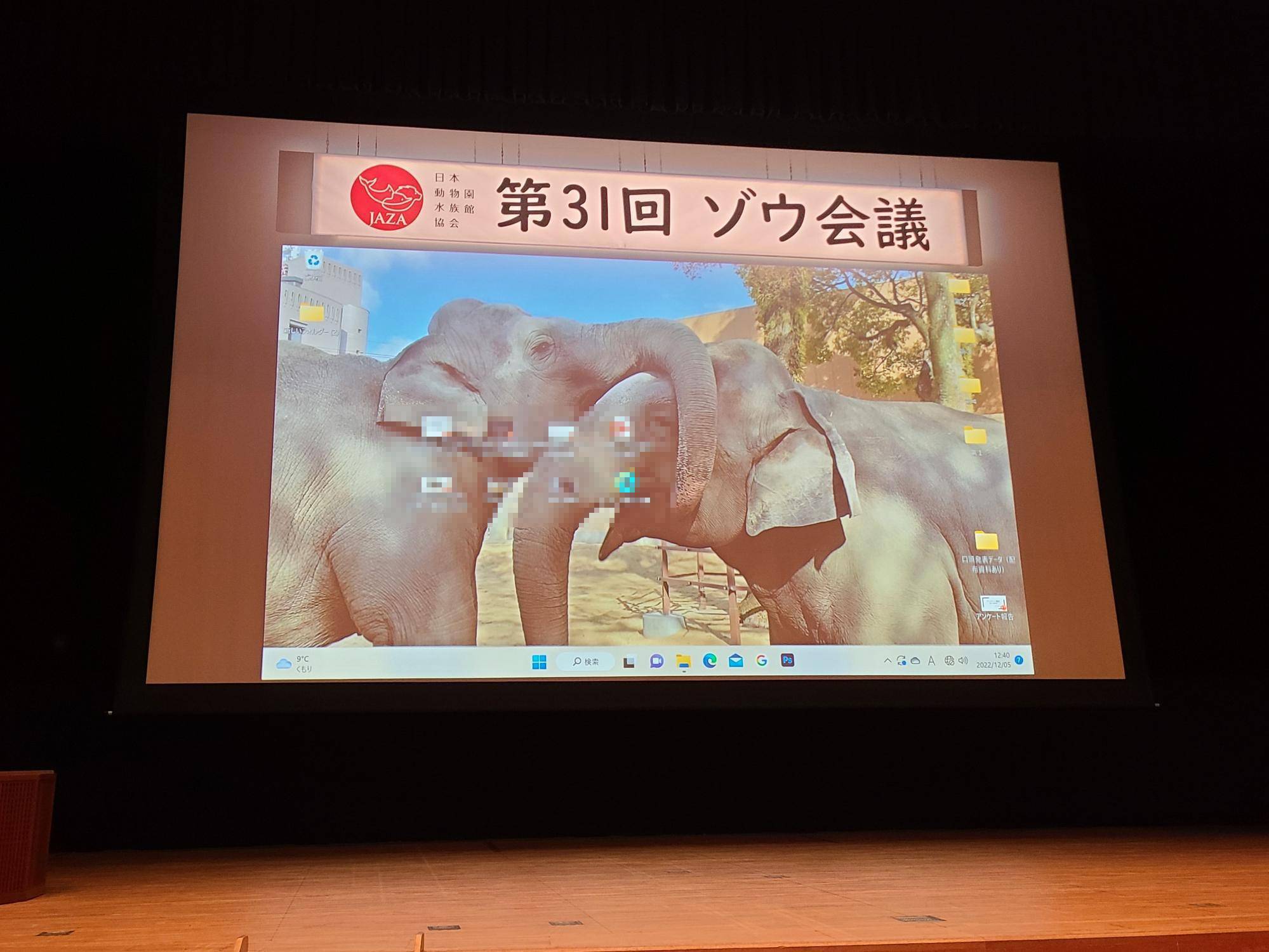 ゾウ会議の写真