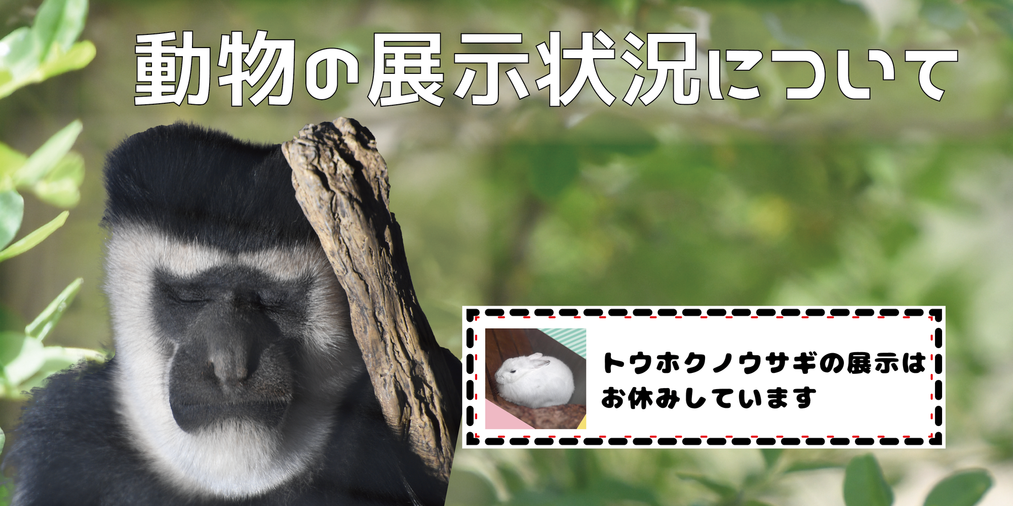 よこはま動物園ズーラシア公式サイト 公益財団法人 横浜市緑の協会