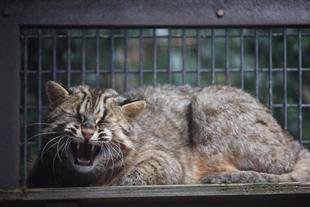 慣れてきました!