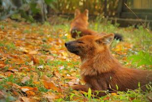 モーア大展示場デビュー!