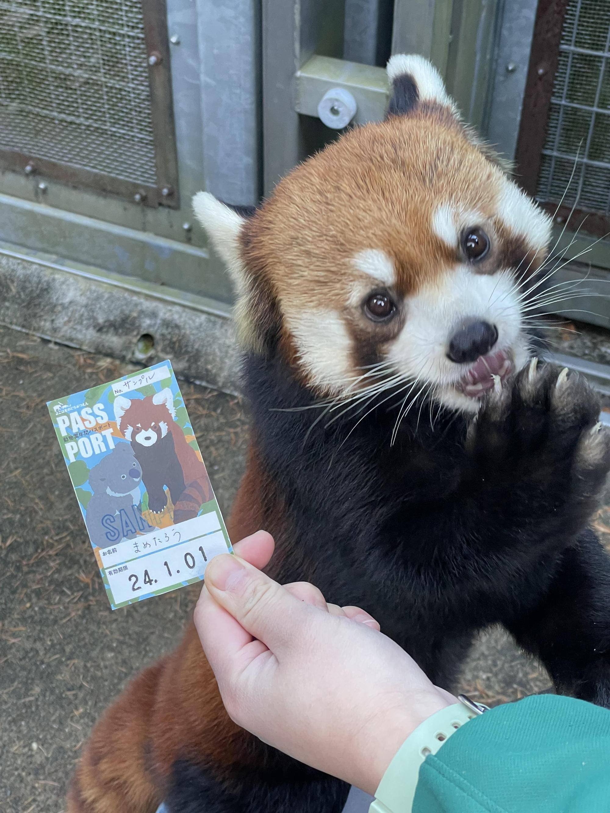 年間パスポートのデザインが変わります♪の写真