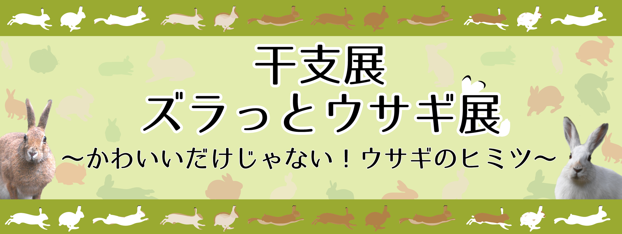🐇干支展~ズラっとウサギ展~のここがすごい!(※本物のウサギはいないよ)の写真