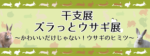 🐇干支展～ズラっとウサギ展～のここがすごい！(※本物のウサギはいないよ)