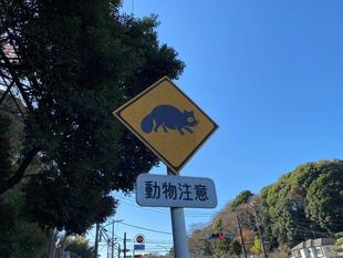 傷病動物ブログ③