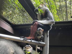 2023年ブログ初め