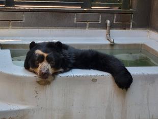 マックスありがとう。