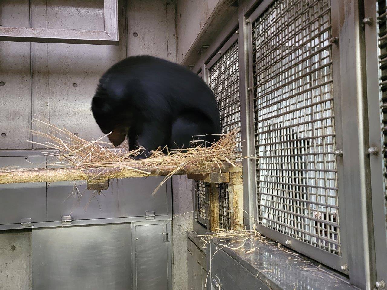 ちょっと失敬!の写真