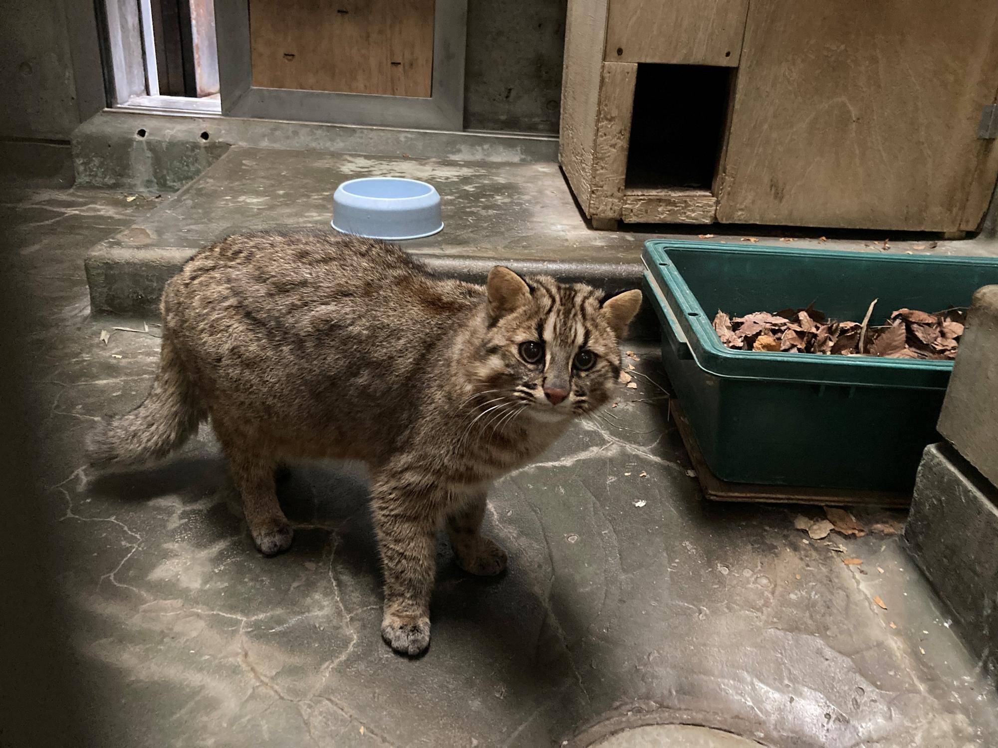 りょう、元気でね!の写真