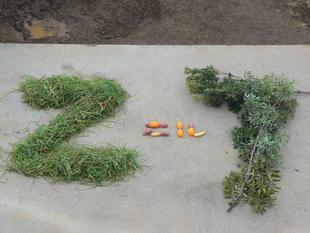 1月24日はヒガシクロサイのニルの誕生日