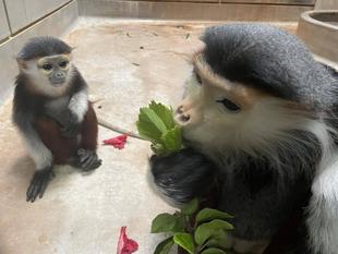 美しさ2倍☆後編