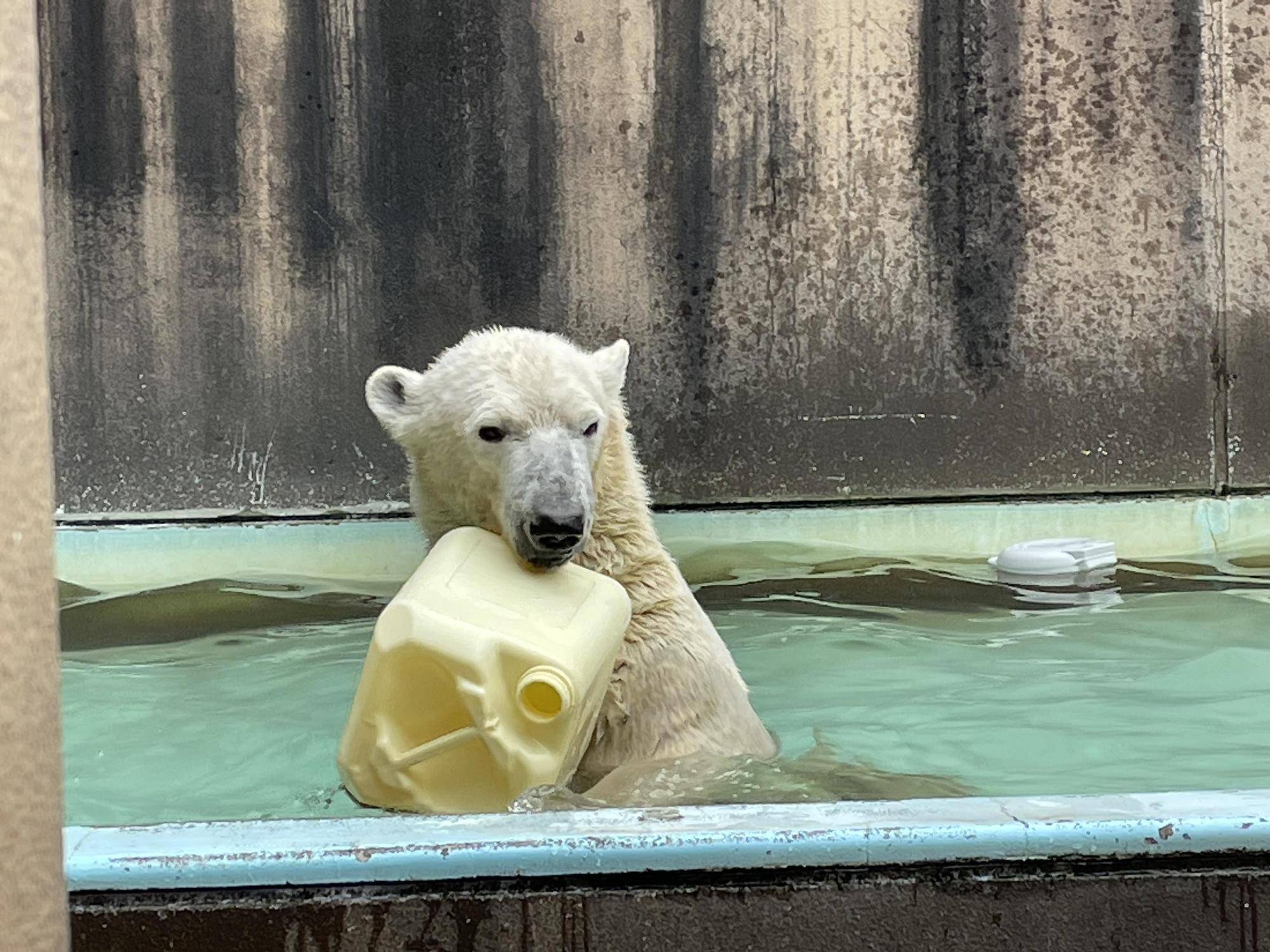 イッちゃんよろしくね♪の写真