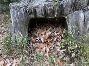 🦊キツネ目線🦊