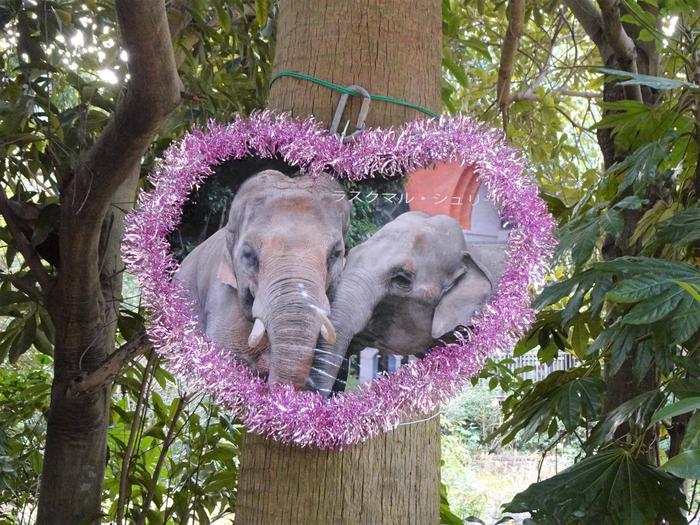 園内には他にもバレンタイン装飾が登場.jpg