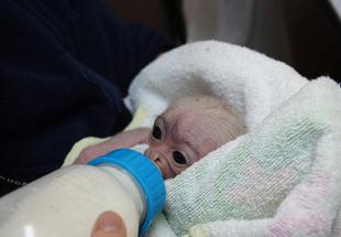 2歳になったプロイを振り返ってみました。