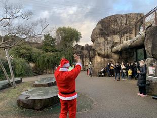 クリスマス特別ガイド報告!