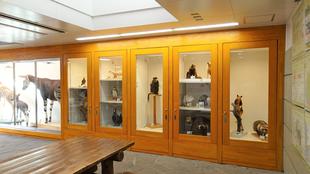 『動物園の裏仕事-派生物の展示を考えよう-』