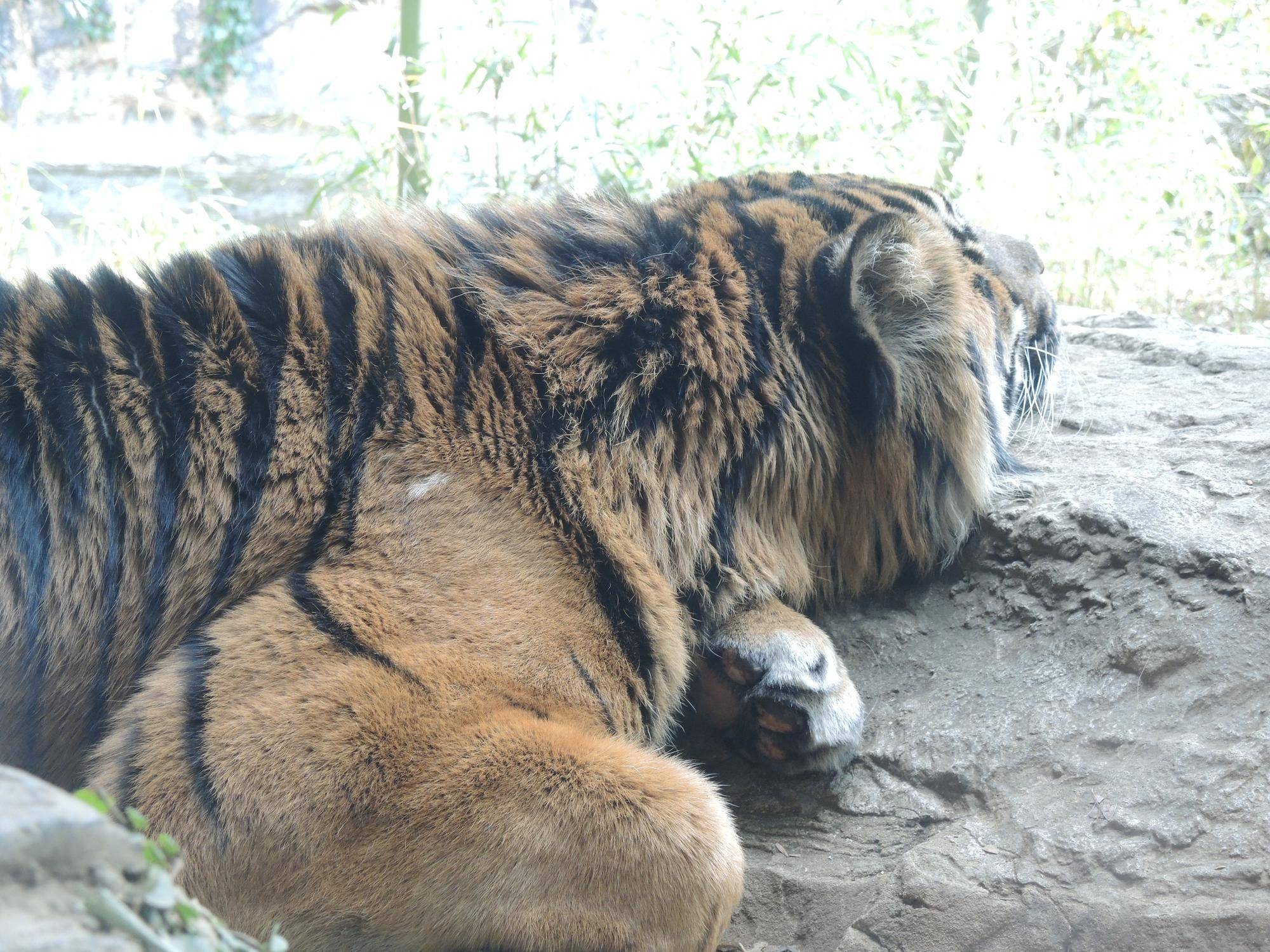 だーれだ？の写真