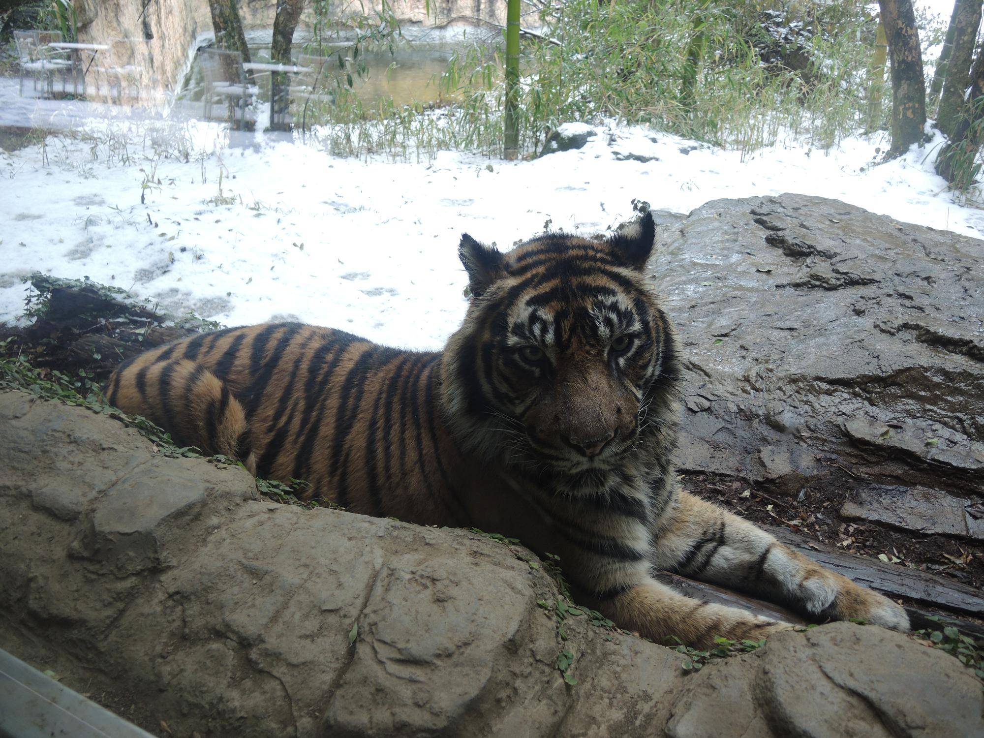 今年の貴重な・・・の写真