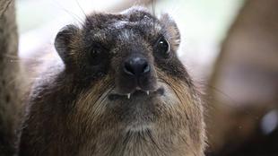 3月1日は何の日？