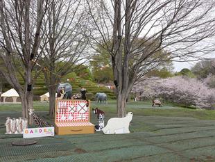 桜情報をお届けvol.9