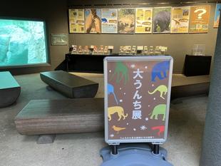 第8回　大うんち展スタート！！！