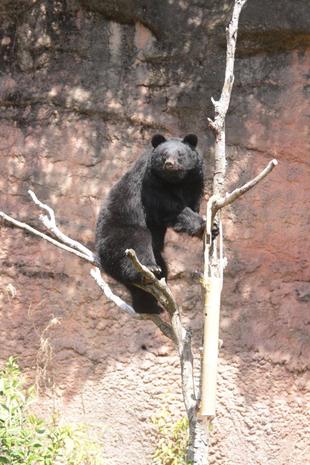 フィーダー吊るしました