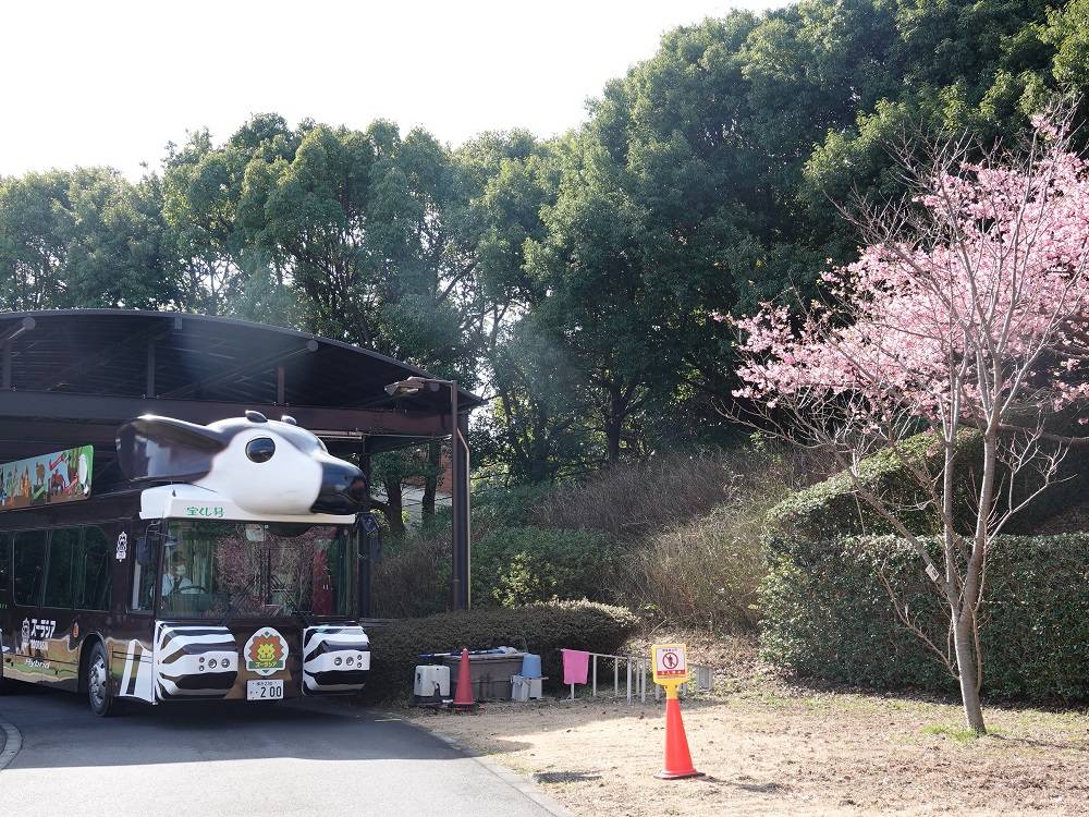 桜情報をお届けvol.1の写真