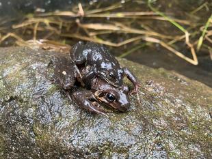 3月の動植物をご紹介！