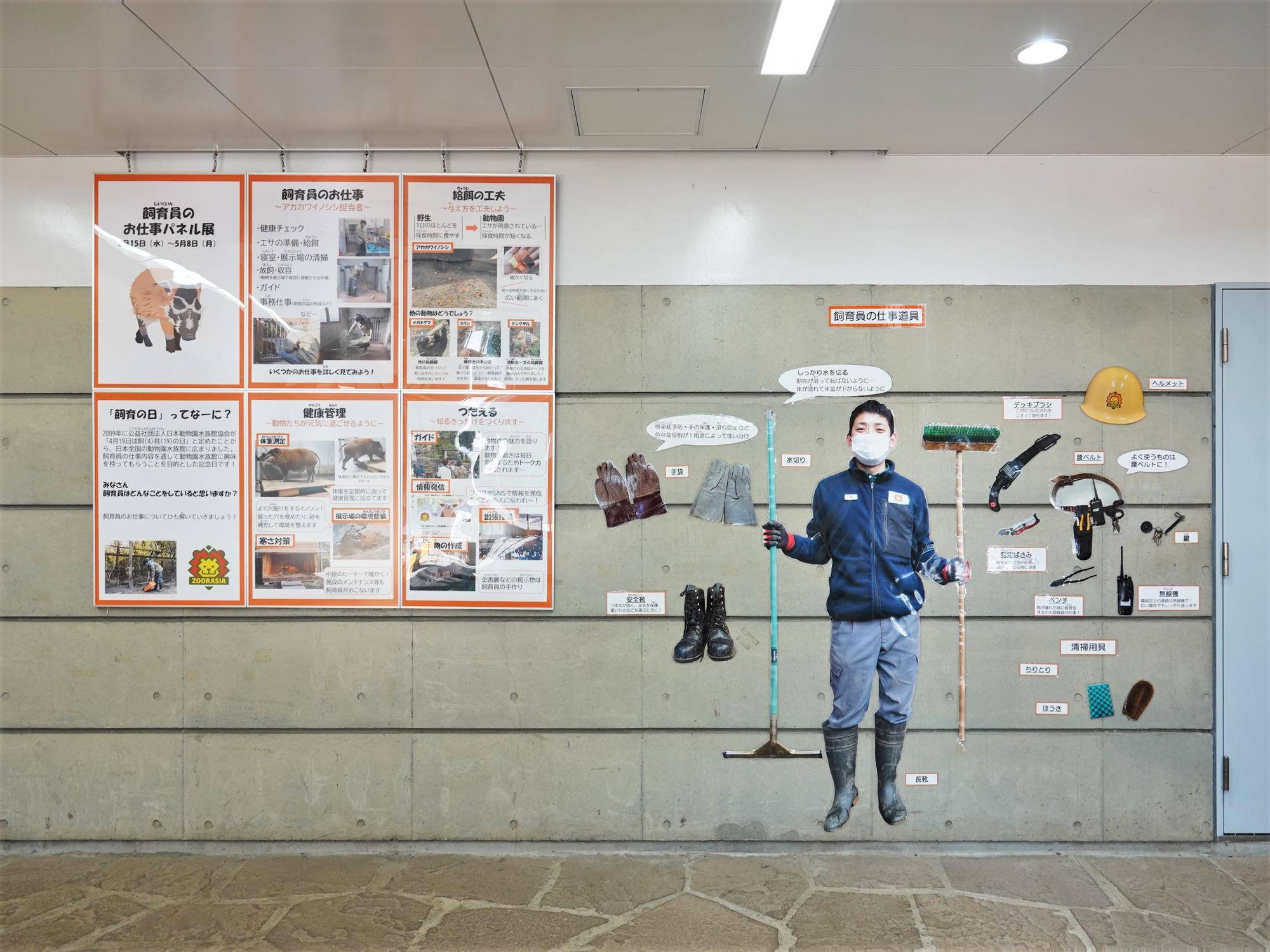 419(しいく)の日!の写真