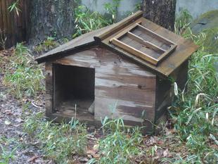 雨の日のズーラシア