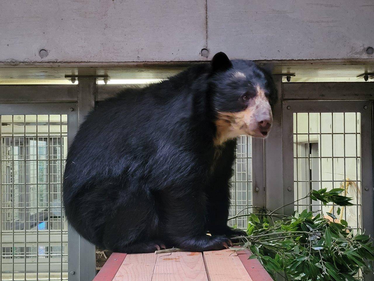 寝台の位置を調整しました。の写真