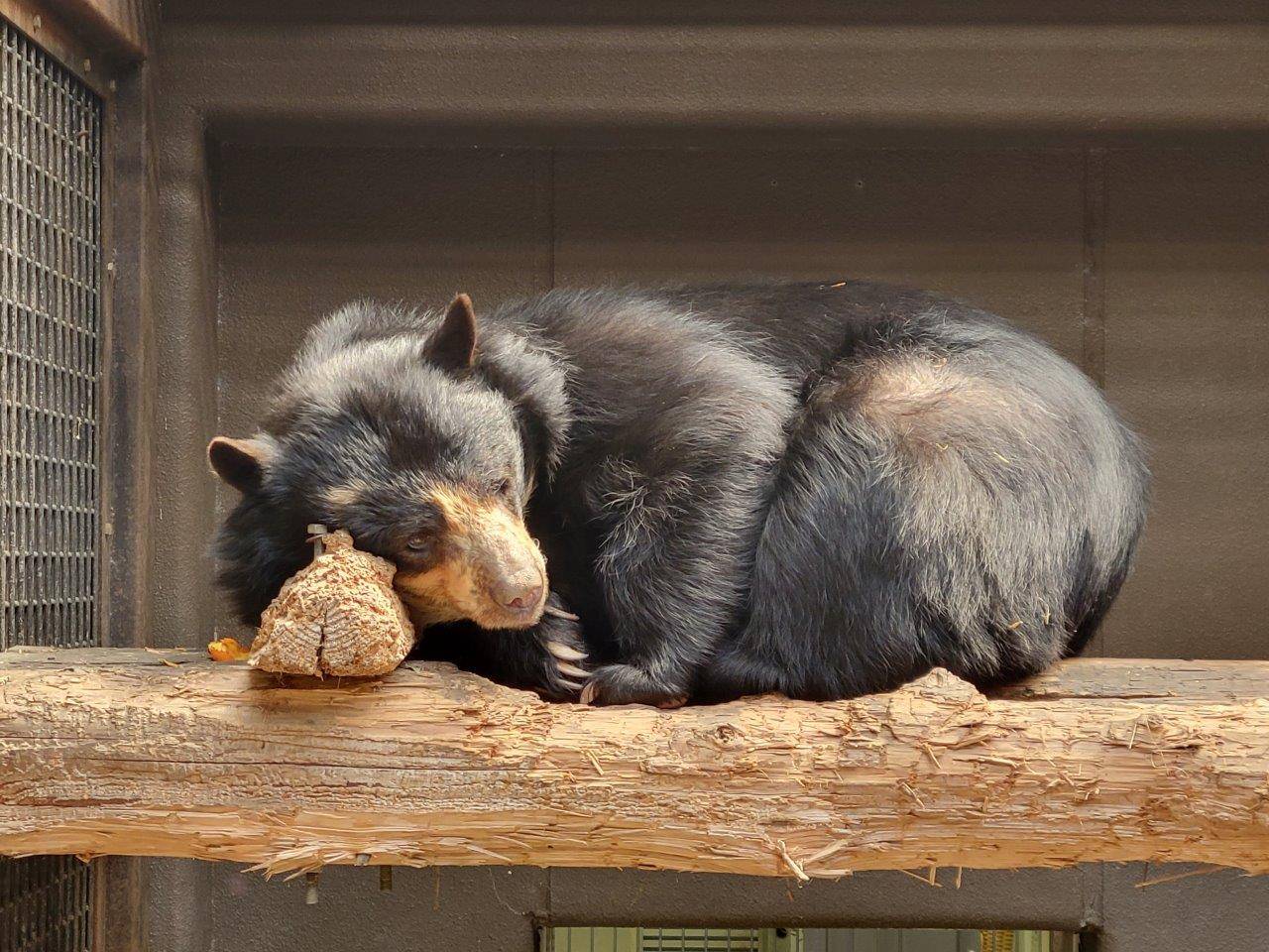 昼間と夜は違う場所を選択の写真