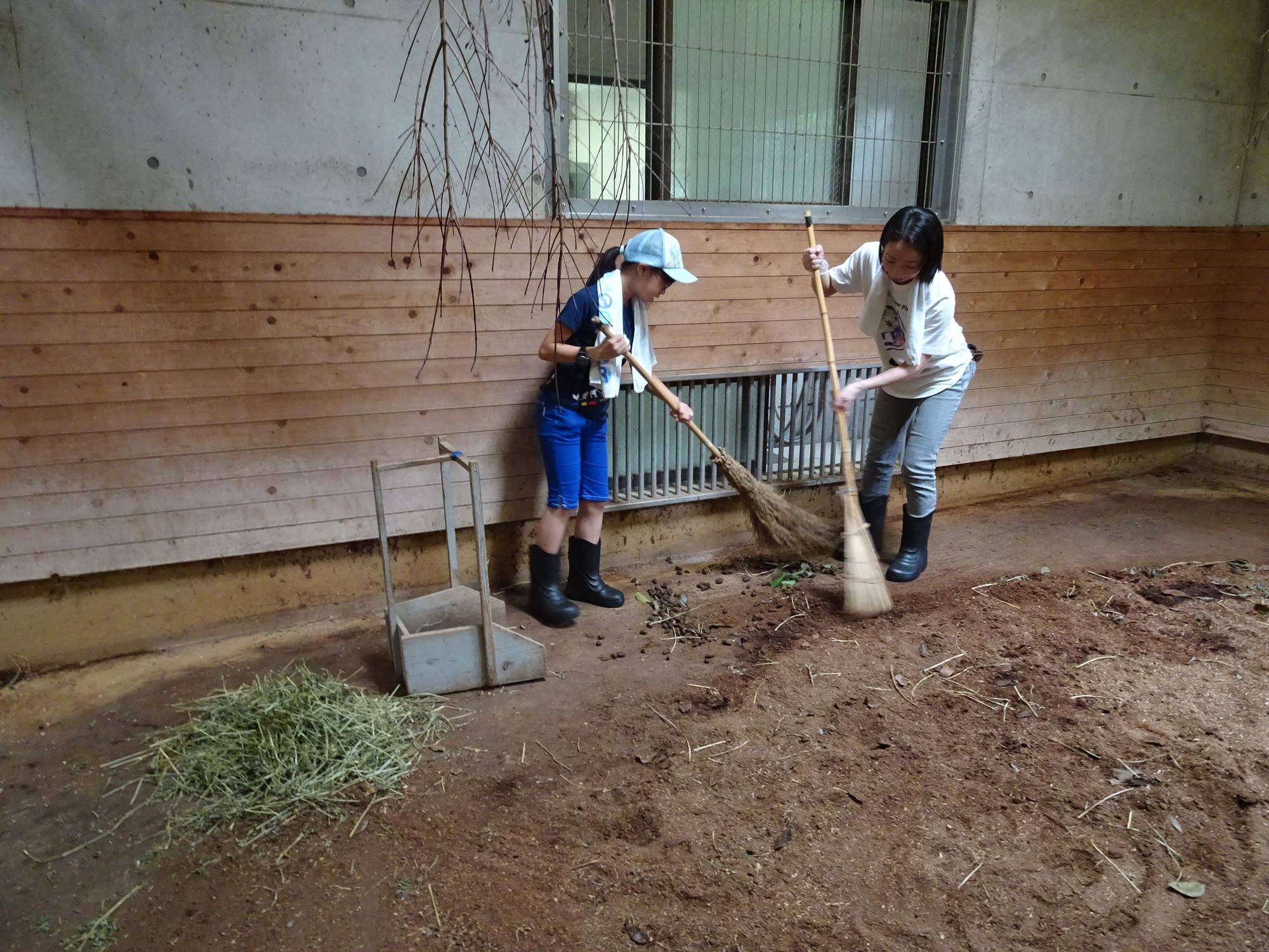 令和7年度【小学4~6年生対象】一日飼育体験の写真
