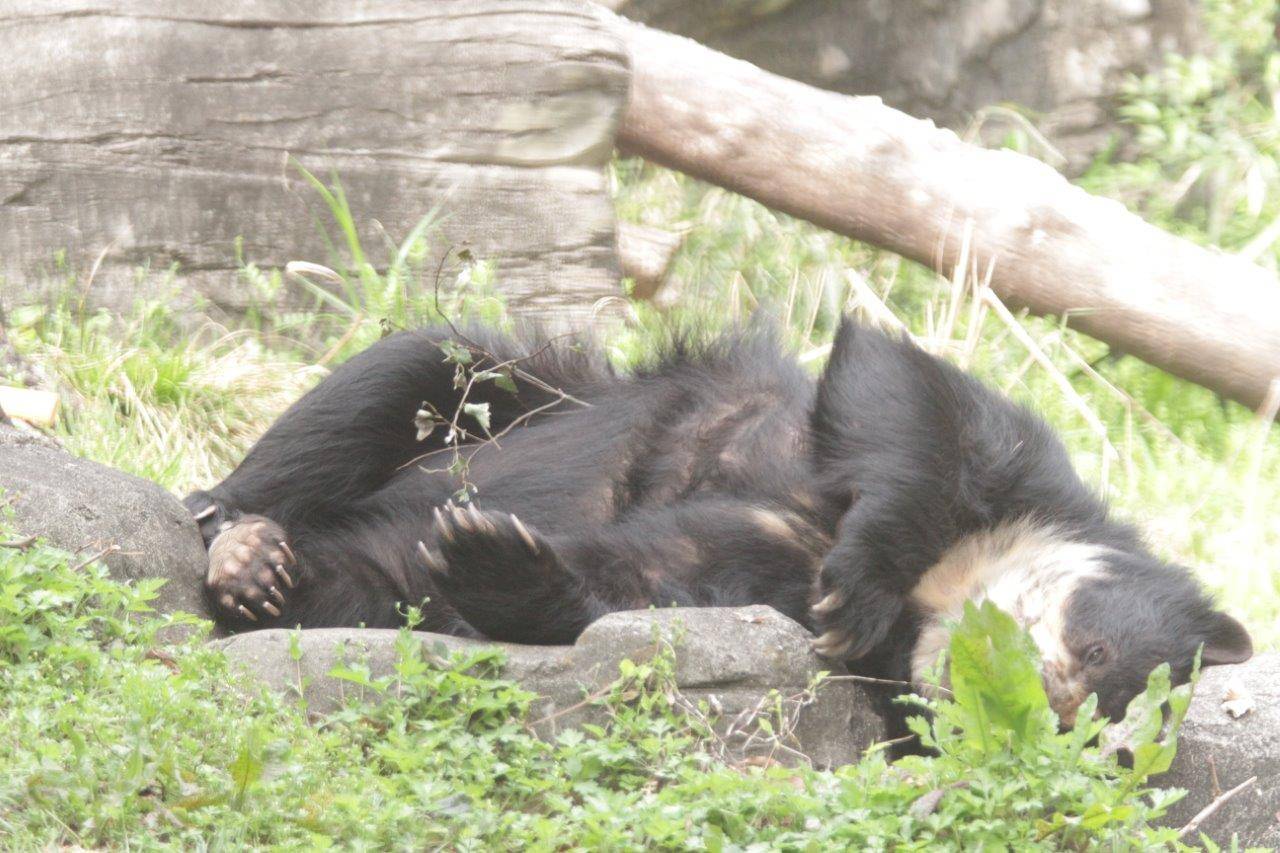 この時期、眠いのは私だけでは無いようで・・・(笑)の写真