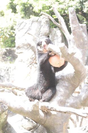 賢い雪雄との知恵比べ・・・②