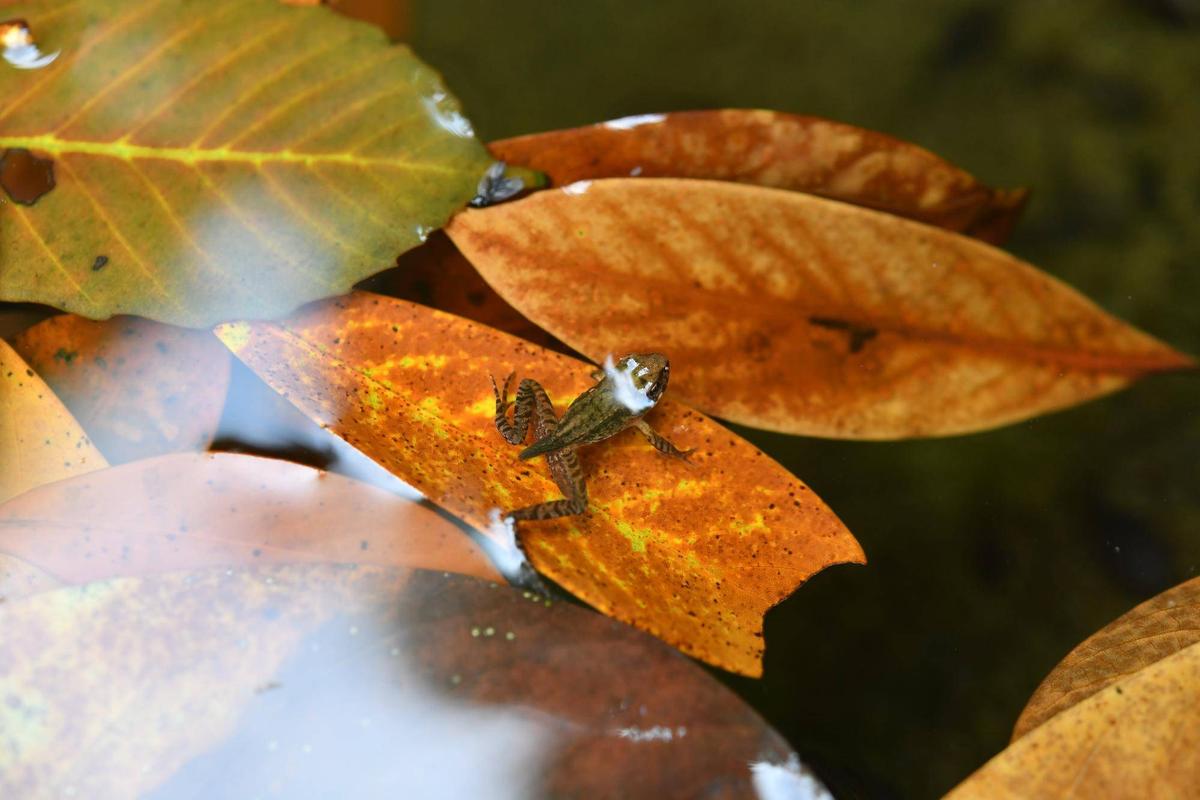 1993049e270898dbbca8e2d42f61cb