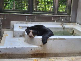 暑い日はプールに!