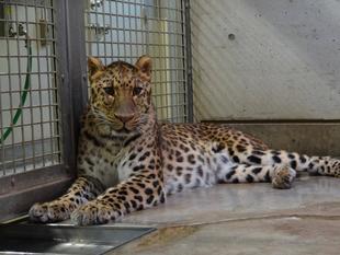 ダッシュのまったりタイム