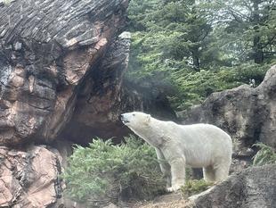 ☆ご報告☆みなさまの思いやりを届けました