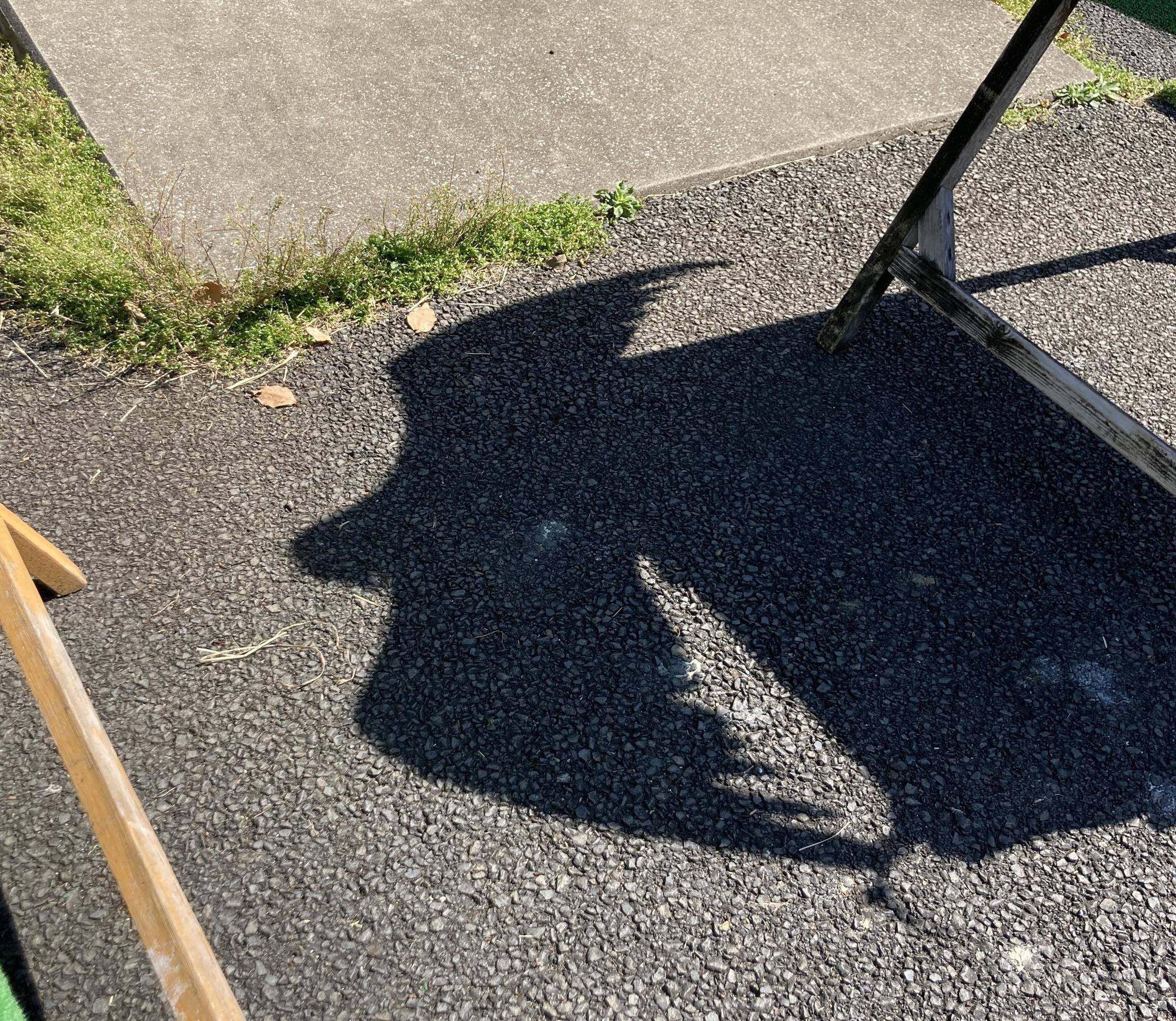 シルエットクイズ!の写真