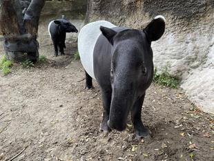 バク通信 変わることと変わらないことと...