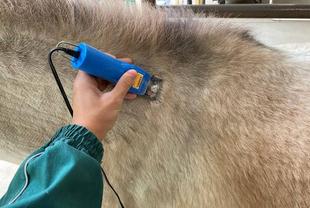 暑さに負けないように