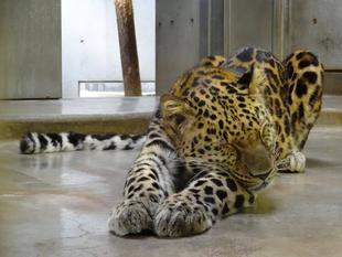 トライのまったりタイム